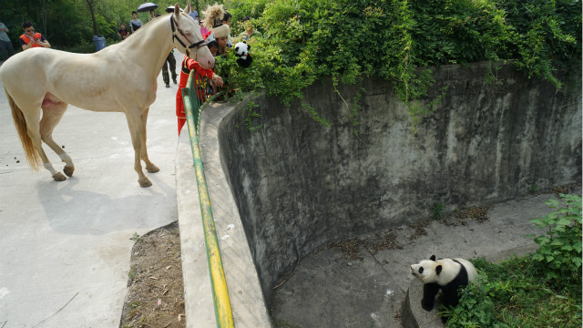 圖片關鍵詞